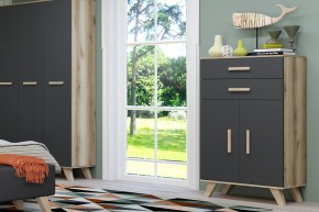 Шкаф низкий Вега Скандинавия в Троицке - troick.ok-mebel.com | фото 8