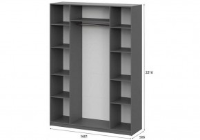 Шкаф платяной Даиго в Троицке - troick.ok-mebel.com | фото 3