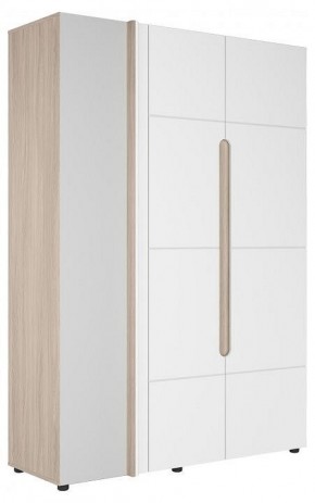 Шкаф платяной Данк в Троицке - troick.ok-mebel.com | фото