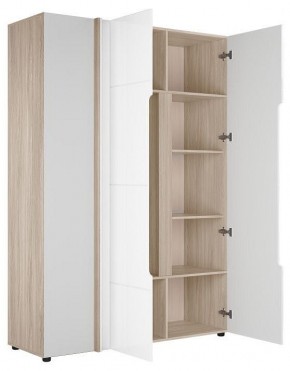 Шкаф платяной Данк в Троицке - troick.ok-mebel.com | фото 2