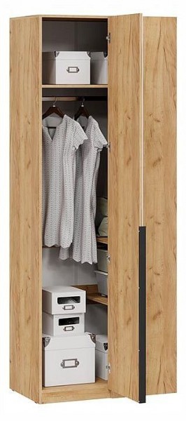 Шкаф платяной Джоли в Троицке - troick.ok-mebel.com | фото 3