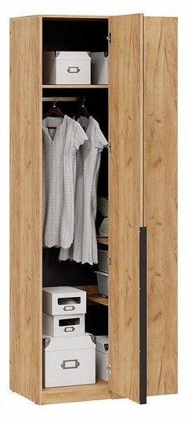 Шкаф платяной Джоли в Троицке - troick.ok-mebel.com | фото 3