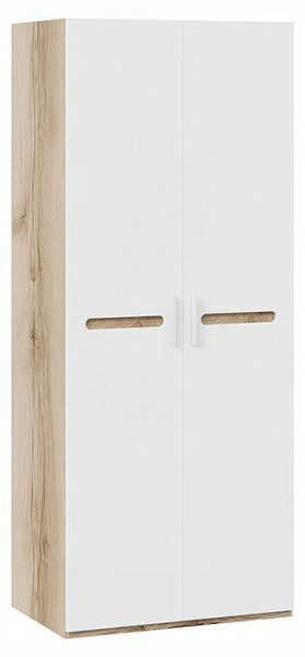 Шкаф платяной Фьюжн ТД-260.07.02 в Троицке - troick.ok-mebel.com | фото