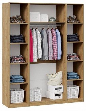 Шкаф платяной Хилтон в Троицке - troick.ok-mebel.com | фото 2