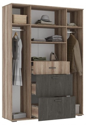 Шкаф платяной Паркинс в Троицке - troick.ok-mebel.com | фото 2
