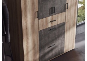 Шкаф платяной Паркинс в Троицке - troick.ok-mebel.com | фото 3
