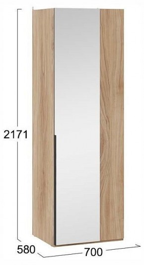 Шкаф платяной Порто СМ-393.07.007 в Троицке - troick.ok-mebel.com | фото 4