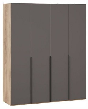Шкаф платяной Порто СМ-393.07.110 в Троицке - troick.ok-mebel.com | фото