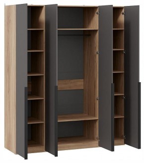 Шкаф платяной Порто СМ-393.07.110 в Троицке - troick.ok-mebel.com | фото 2