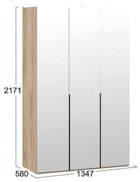 Шкаф платяной Порто СМ-393.07.111 в Троицке - troick.ok-mebel.com | фото 3