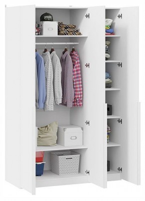 Шкаф платяной Порто СМ-393.07.112 в Троицке - troick.ok-mebel.com | фото 3
