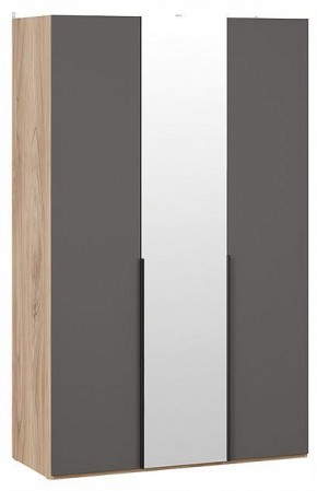 Шкаф платяной Порто СМ-393.07.112 в Троицке - troick.ok-mebel.com | фото