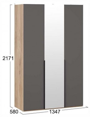 Шкаф платяной Порто СМ-393.07.112 в Троицке - troick.ok-mebel.com | фото 3