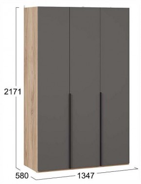 Шкаф платяной Порто СМ-393.07.113 в Троицке - troick.ok-mebel.com | фото 3