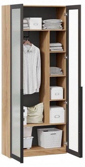 Шкаф платяной Порто СМ-393.07.226 в Троицке - troick.ok-mebel.com | фото 3