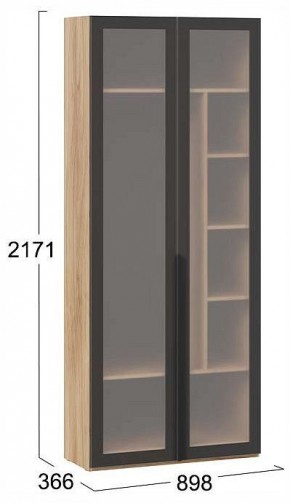 Шкаф платяной Порто СМ-393.07.226 в Троицке - troick.ok-mebel.com | фото 4