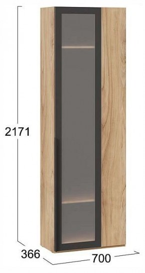 Шкаф платяной Порто СМ-393.07.233 в Троицке - troick.ok-mebel.com | фото 3