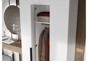 Шкаф платяной Широн в Троицке - troick.ok-mebel.com | фото 3