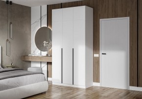 Шкаф платяной Широн в Троицке - troick.ok-mebel.com | фото 4
