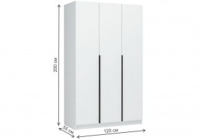Шкаф платяной Широн в Троицке - troick.ok-mebel.com | фото 5