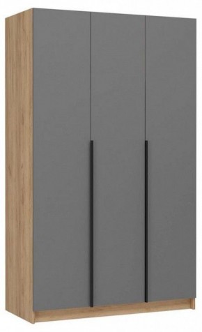 Шкаф платяной Широн в Троицке - troick.ok-mebel.com | фото