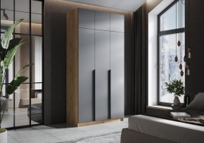 Шкаф платяной Широн в Троицке - troick.ok-mebel.com | фото 4