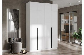 Шкаф платяной Широн в Троицке - troick.ok-mebel.com | фото 3