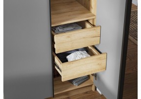Шкаф платяной Широн в Троицке - troick.ok-mebel.com | фото 3