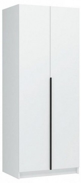 Шкаф платяной Широн в Троицке - troick.ok-mebel.com | фото