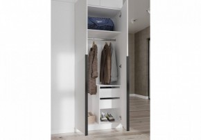Шкаф платяной Широн в Троицке - troick.ok-mebel.com | фото 3