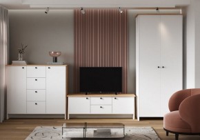 Шкаф платяной Теодора в Троицке - troick.ok-mebel.com | фото 4