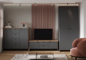 Шкаф платяной Теодора в Троицке - troick.ok-mebel.com | фото 3
