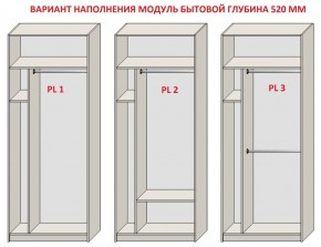 Шкаф распашной серия «ЗЕВС» (PL3/С1/PL2) Серый камень/Небраска натуральный в Троицке - troick.ok-mebel.com | фото 5