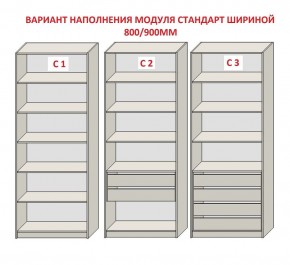Шкаф распашной серия «ЗЕВС» (PL3/С1/PL2) Серый камень/Небраска натуральный в Троицке - troick.ok-mebel.com | фото 6