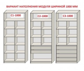Шкаф распашной серия «ЗЕВС» (PL3/С1/PL2) Серый камень/Небраска натуральный в Троицке - troick.ok-mebel.com | фото 7