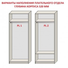 Шкаф распашной серия «ЗЕВС» (PL3/С1/PL2) Серый камень/Небраска натуральный в Троицке - troick.ok-mebel.com | фото 9