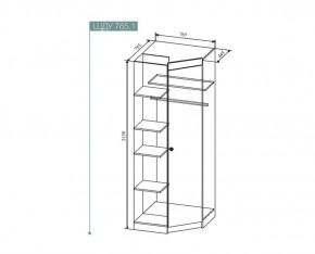 СКАНДИ ШДУ765.1 Шкаф угловой в Троицке - troick.ok-mebel.com | фото 2