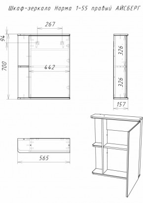 Шкаф-зеркало Норма 1-55 правый АЙСБЕРГ (DA1604HZ) в Троицке - troick.ok-mebel.com | фото 9