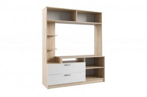 СОФИ СЦС1400.2 Гостиная №2 (дуб сонома/белый) в Троицке - troick.ok-mebel.com | фото