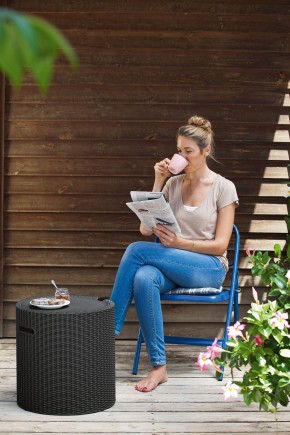 Столик-холодильник Кул-Стул (Cool stool) графит в Троицке - troick.ok-mebel.com | фото