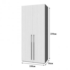 СТОУН С22 Шкаф 2-х створчатый (золотой дуб/графит) в Троицке - troick.ok-mebel.com | фото 2