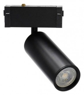 Светильник на штанге Aployt Magnetic track 220 APL.0209.00.01 в Троицке - troick.ok-mebel.com | фото