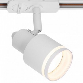 Светильник на штанге Citilux Bruno CL565T10 в Троицке - troick.ok-mebel.com | фото 2