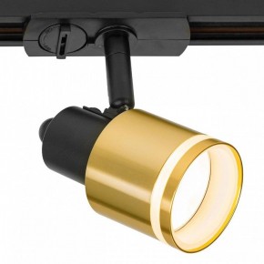 Светильник на штанге Citilux Bruno CL565T14 в Троицке - troick.ok-mebel.com | фото 4