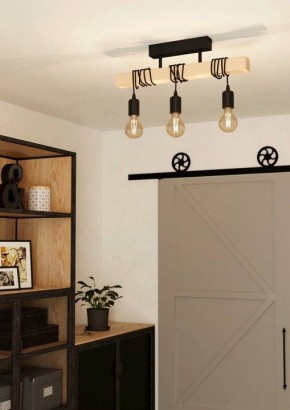 Светильник на штанге Eglo TOWNSHEND 43511 в Троицке - troick.ok-mebel.com | фото 2