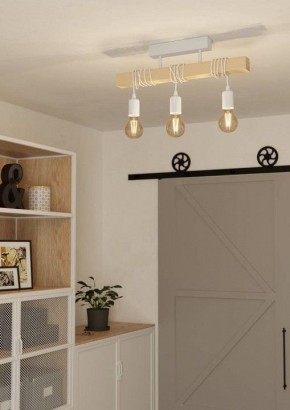 Светильник на штанге Eglo TOWNSHEND 44082 в Троицке - troick.ok-mebel.com | фото 2