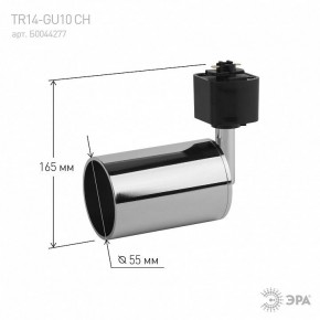Светильник на штанге Эра  TR14-GU10 CH в Троицке - troick.ok-mebel.com | фото 4