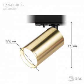 Светильник на штанге Эра  TR39-GU10 BS в Троицке - troick.ok-mebel.com | фото 6