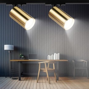 Светильник на штанге Эра  TR39-GU10 BS в Троицке - troick.ok-mebel.com | фото 7