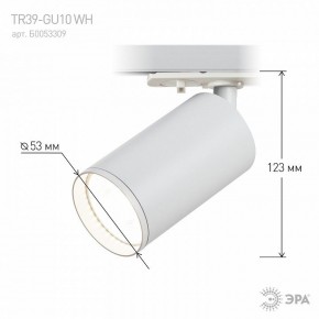 Светильник на штанге Эра  TR39-GU10 WH в Троицке - troick.ok-mebel.com | фото 7